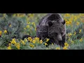 Mumford & Sons and National Geographic Present: Beloved - Mumford & Sons