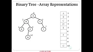 Binary Tree Introduction Representations and Properties