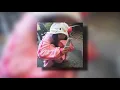 Download Lagu kali uchis - melting (sped up)