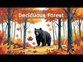 Temperate Deciduous Forest Biome