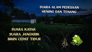suara jangkrik dan kodok di pedesaan pada malam hari bikin tenang untuk pengantar tidur