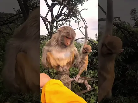 Yarum ella Etha karanga aduthu polam nu patha avaga Amma vathutanga