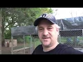 RAIN PROOF YOUR DOG PENS