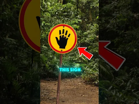 Don't Touch Anything in the Forest❗️🖐
