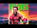 Toots & The Maytals - Knock Out - Careless ethiopians - 1981
