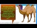Go Math 5th Grade Chapter 5 Review Part 2