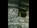 Lagu KH Muammar - nada tinggi#shortvideo