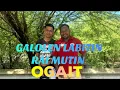 Download Lagu OGAIT || GALOLEN LABITIN RAI MUTIN || Don't Reupload This Audio/Video