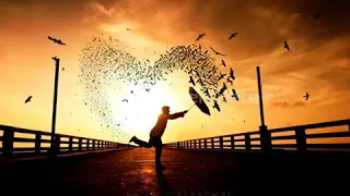 فيها اى فيها اى لو نخطب لبناتنا لاشرف زهران روووعه 