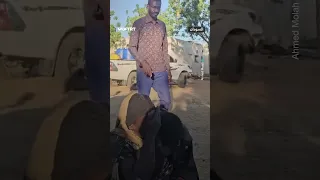 أ م تحتضن ابنيها بعد فقدانهما بالفاشر 