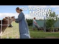 How much we spend on our 5 Acre Homestead