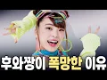 Download Lagu Why Huwachan suddenly disappeared from Japanese broadcasts
