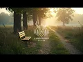 Dorul – Carpathian Season | Cântec despre Dor și Amintiri