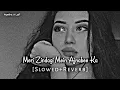 Download Lagu Meri Zindagi Mein Ajnabee Ka - Ajnabee || Slowed And Reverbed 🖤