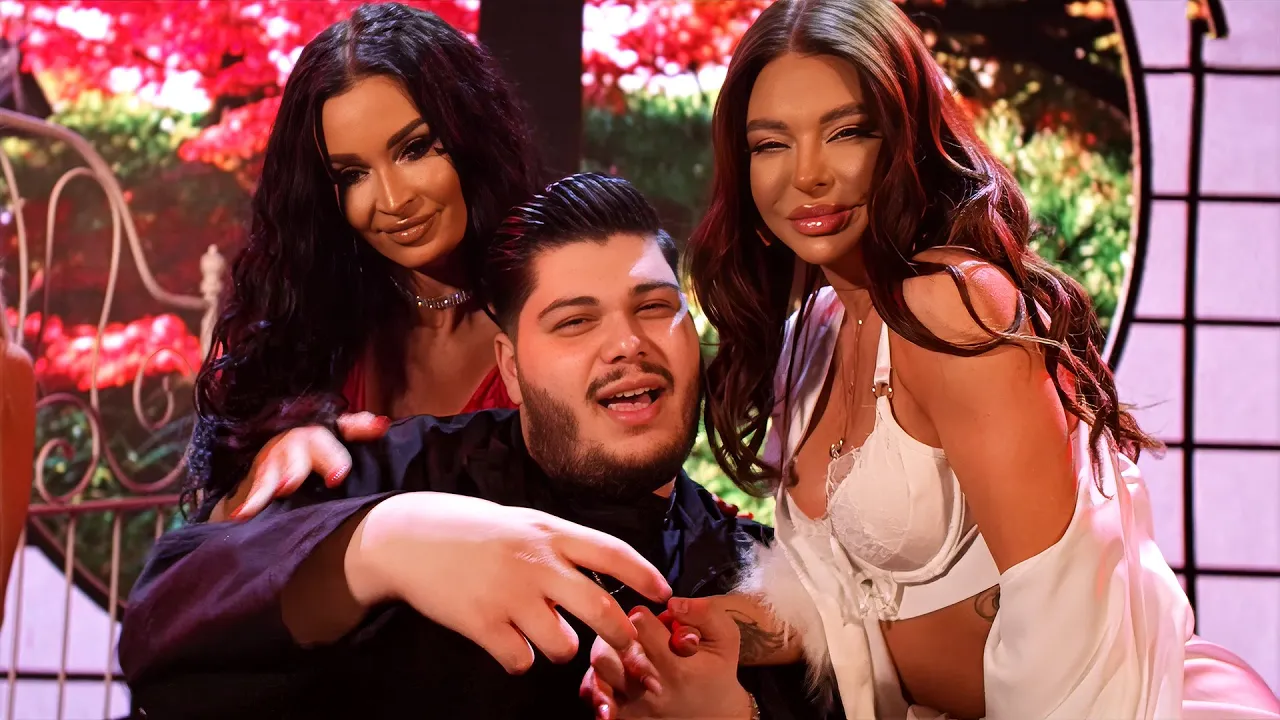 ROBERTO - Ma insor, gata! 2025