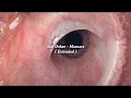 Sub Urban - Mascara (Extended) Visualizer
