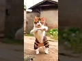 Download Lagu kanmani Anbodu। cat dance। kanmani song। Tamil song #subscribe #dance#trending #viralvideo #kanmani