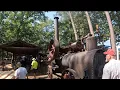 A Trip To Denton Farm Park