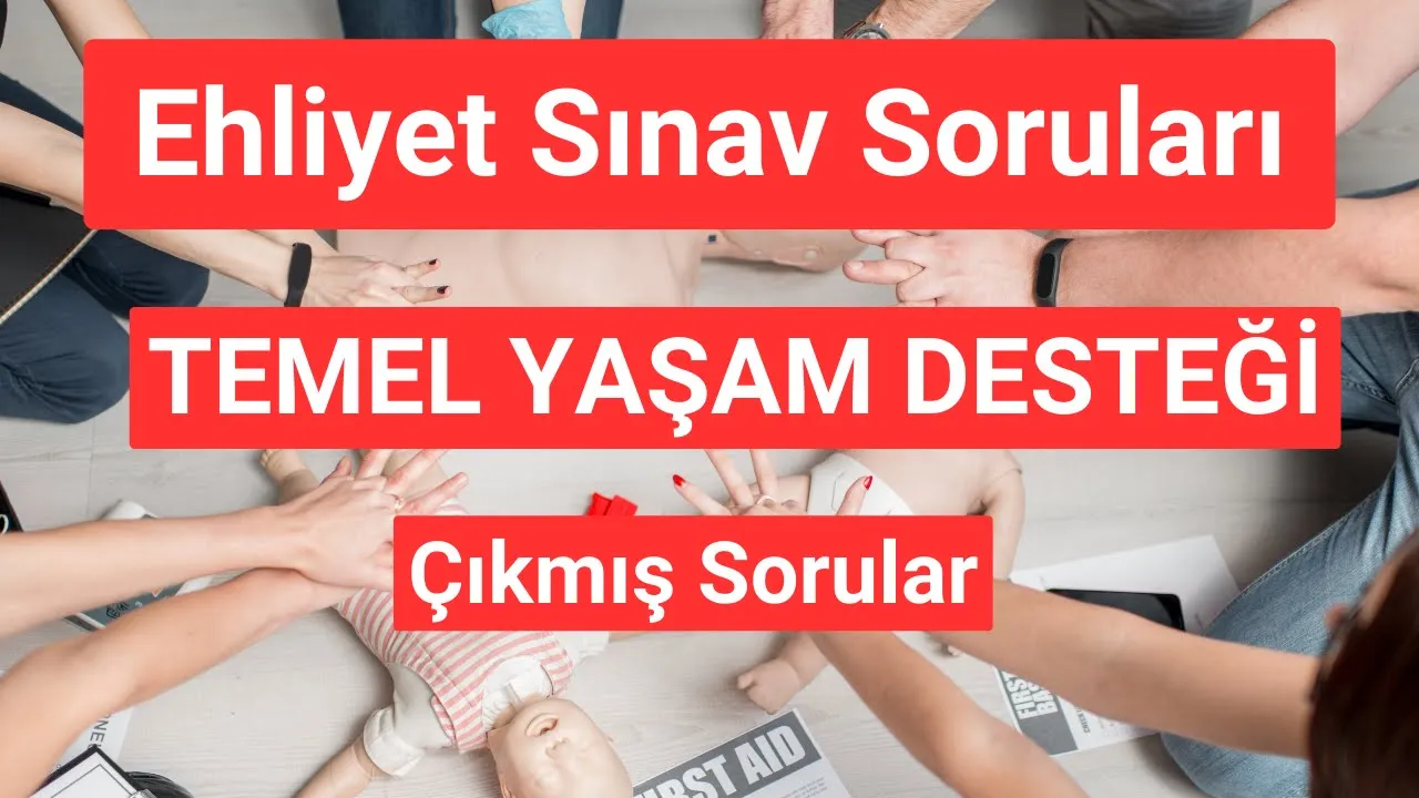Temel Yaşam Desteği (kalp Masajı, Solunum) | Çıkmış ehliyet Sınav soruları