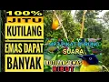 uji coba suara pikat kutilang emas ribut ini benar benar ampuh terbukti anti zong