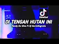 Download Lagu DJ SAD TIKTOK! DI TENGAH HUTAN INI - (Rendy Da Silva Ft Dj HarrisNugraha) New Remix!!!