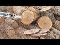 Stihl Ms661 vs Stihl Ms660 vs Stihl Ms660 Magnum Made in Brasil