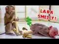 Download Lagu How PiPi reacts to the trouble Laka is going through