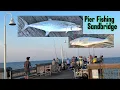 Catching Kingfish at Sandbridge Little Island Fishing Pier in Virginia Beach Spanish Mackerel
