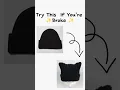 DIY Cat Beanie viral