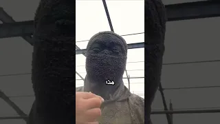 كأنه محارب نينجا  عجائب  غرائب  غموض  شورتس دندنها