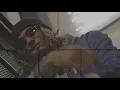 JODOLO X SYLA X MR.SEVERE X ANTHONY BAILEY OFFICIAL ASTRED CONCERT
