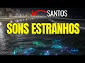 Download Lagu Barulhos ESTRANHOS saindo do  MAR em SANTOS