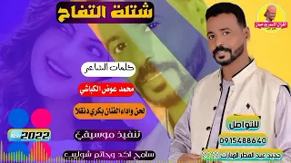 جديد 2022 الفنان بكري دنقلا شتلة التفاح الغزال الاسمر ودحسان 