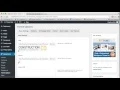 Locate WordPress theme options and its settings