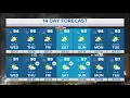 DFW weather Pollen count to stay high along with temperatures in 14-day forecast