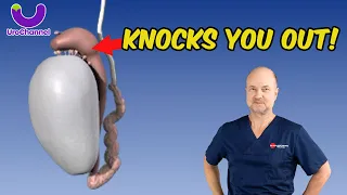 Pain In The Testicles Could Be EPIDIDYMITIS UroChannel