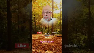 وما كان لمؤمن ولا مؤمنة اذا قضى الله ورسوله امرا القارئ الشيخ السيد سعيد 