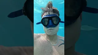 Our Voyage through the South Seas! 🏝️ #sailingaroundtheworld