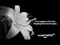 Download Lagu Lagu karo Intan br ginting - Mesera pe labo dem ( lyrics )