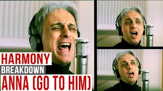 Download How to Sing Anna (Go to him) Beatles Vocal Harmony Cover - Galeazzo Frudua MP3