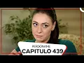 Download Lagu Perdóname Episodio 439 (Doblado en Español)