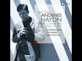 Piano Concerto in D Major, Hob. XVIII:11: III. Rondo all'ungarese
