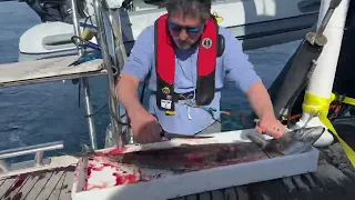 Fishing for and cleaning King Mackerel