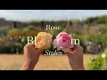 Rose Bloom Styles