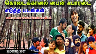 kodaikanal pine forest pine forest shooting spot kodaikanal shooting movies