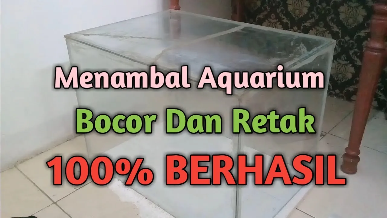 Cara Membersihkan Lem Kaca Aquarium Sangat Mudah