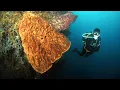 Moments of Diving at Gorontalo, North Sulawesi, Indonesia (February 2025)