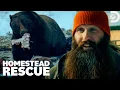 A Homestead in Grizzly Territory Homestead Rescue Discovery