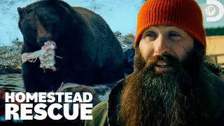 A Homestead in Grizzly Territory Homestead Rescue Discovery