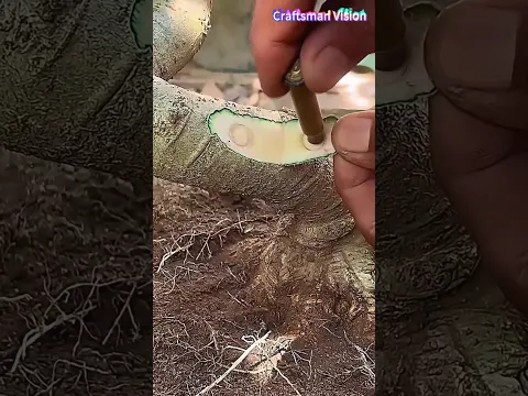 The seamless grafting technique for flowers